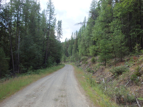 GDMBR, north of Cold Creek, MT.